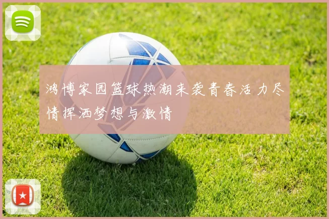 鸿博家园篮球热潮来袭青春活力尽情挥洒梦想与激情