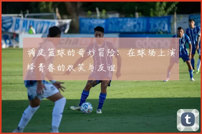 调皮篮球的奇妙冒险：在球场上演绎青春的欢笑与友谊