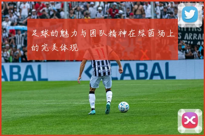 足球的魅力与团队精神在绿茵场上的完美体现